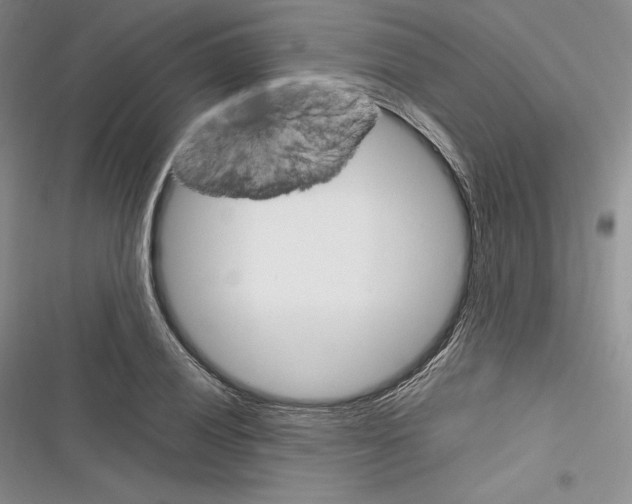 X0000116271028201001111010
