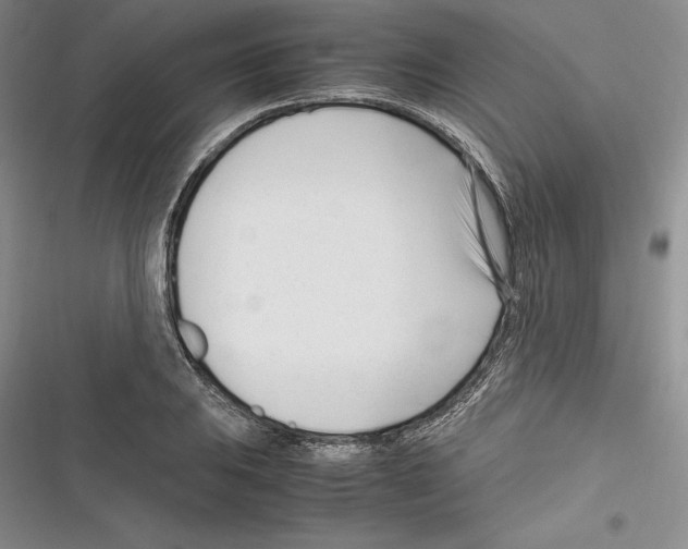X0000116271031201001111010