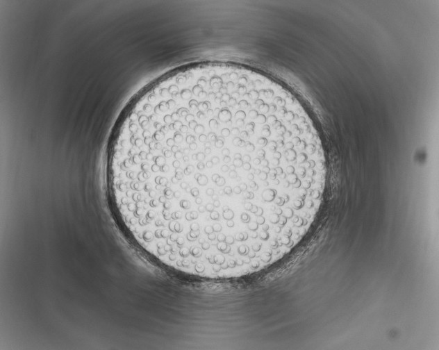 X0000116271032201001111010