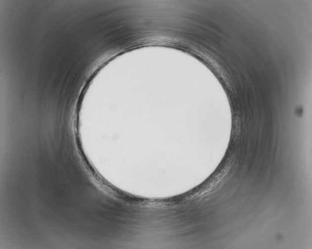 X0000116271034201001111010