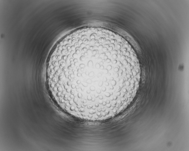 X0000116271036201001111010
