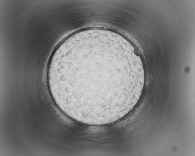 X0000116271037201001111010