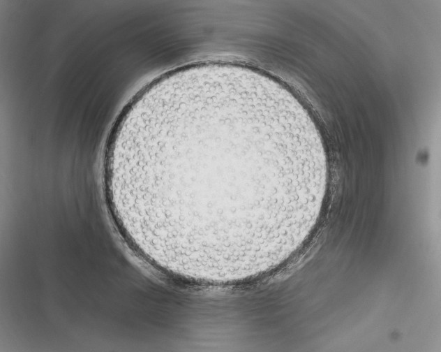 X0000116271038201001111010