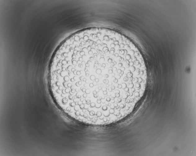 X0000116271040201001111010