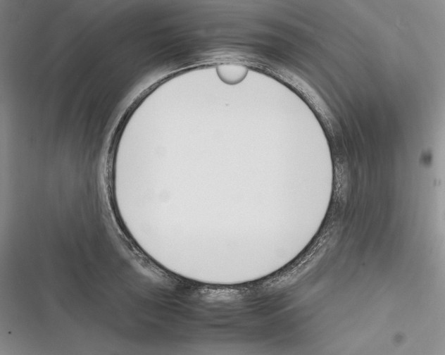 X0000116271043201001111010