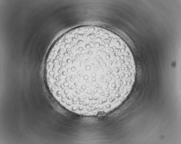 X0000116271044201001111010