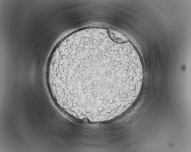 X0000116271045201001111010