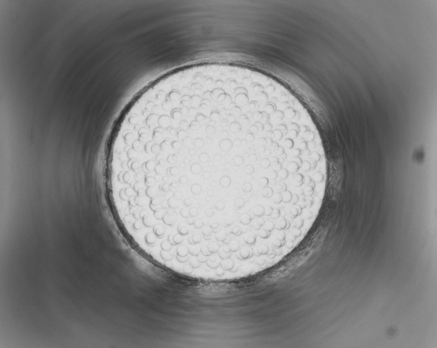 X0000116271046201001111010