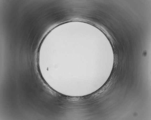 X0000116271048201001111010