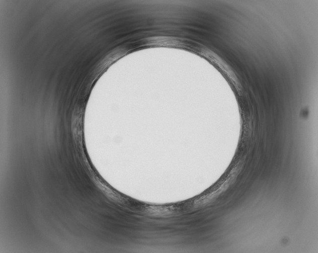 X0000116271049201001111010