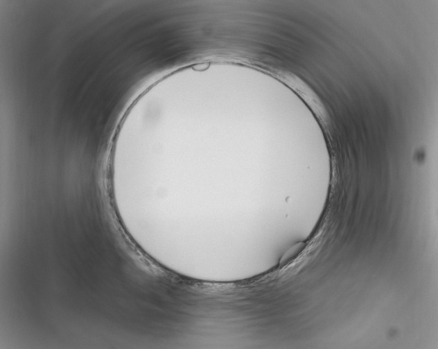 X0000116271052201001111010