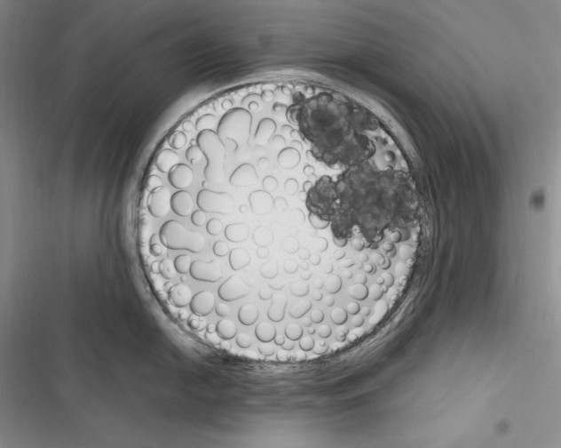 X0000116271054201001111010