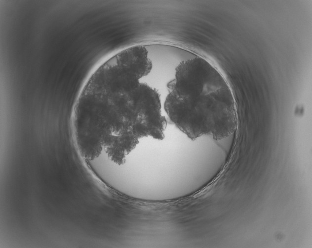 X0000116271056201001111010