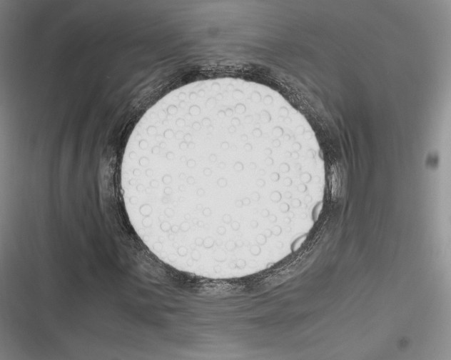X0000116271059201001111010