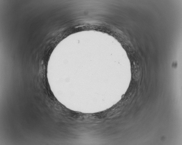 X0000116271061201001111010