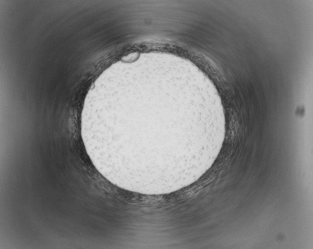 X0000116271062201001111010