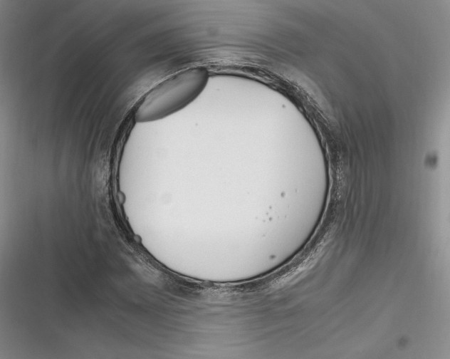 X0000116271065201001111010