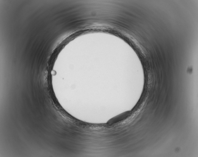 X0000116271066201001111009