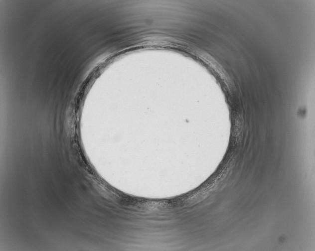 X0000116271067201001111009