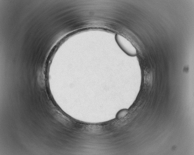 X0000116271068201001111009