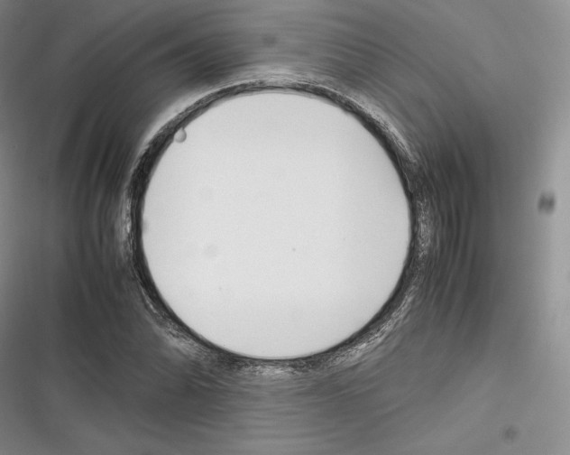 X0000116271070201001111009