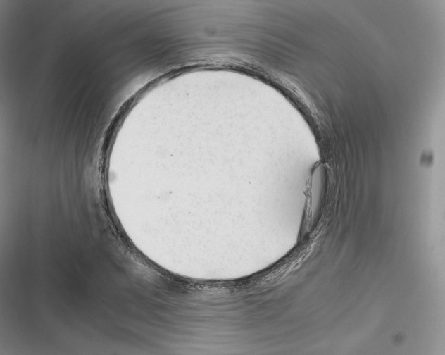 X0000116271071201001111009