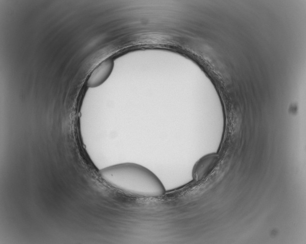 X0000116271073201001111009
