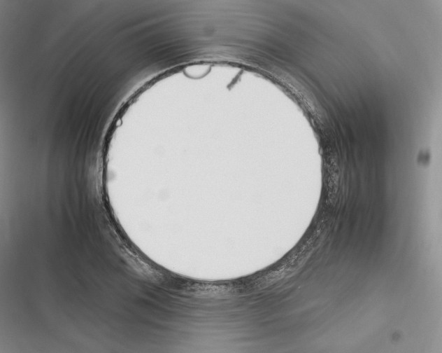 X0000116271076201001111009