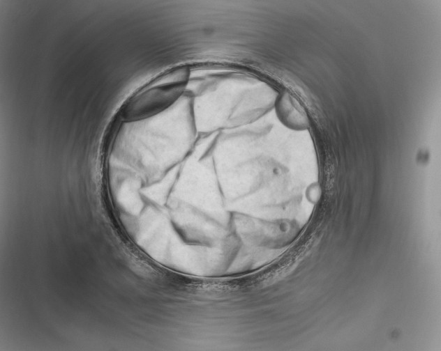 X0000116271077201001111009