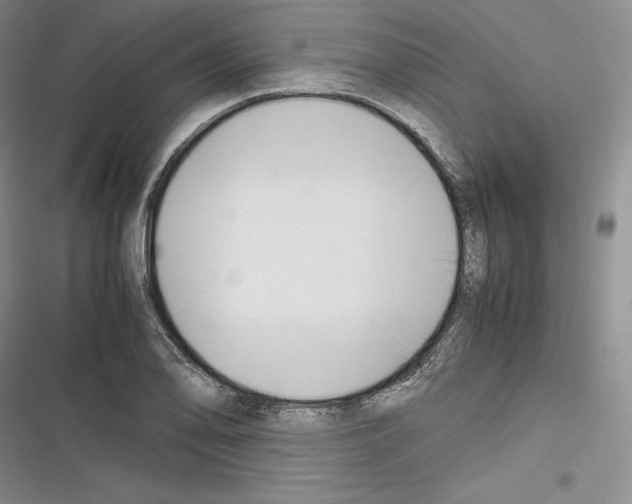 X0000116271078201001111009