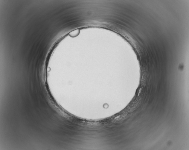 X0000116271080201001111009