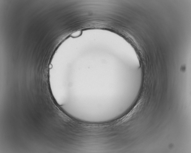 X0000116271081201001111009