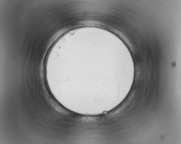 X0000116271082201001111009