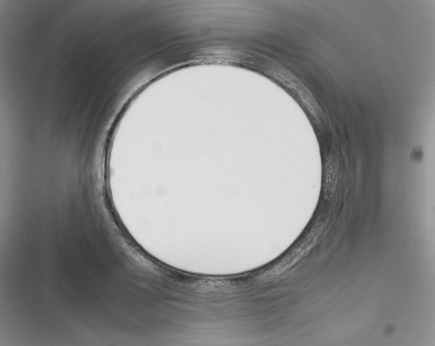 X0000116271083201001111009