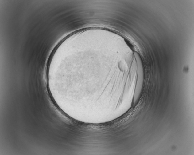 X0000116271084201001111009