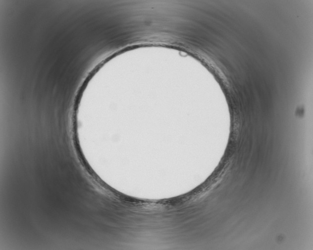 X0000116271085201001111009
