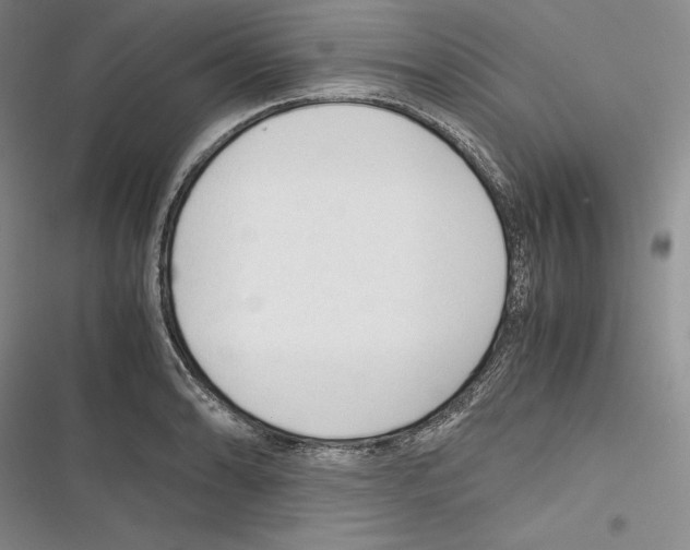 X0000116271086201001111009