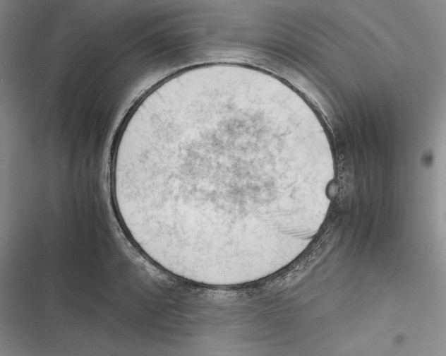 X0000116271088201001111009
