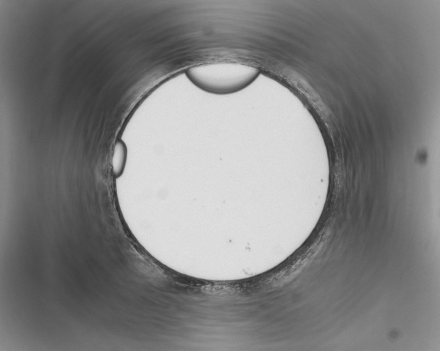 X0000116271089201001111009