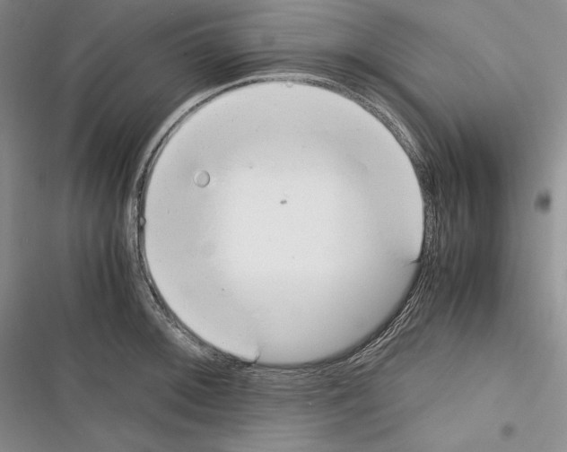 X0000116271092201001111009