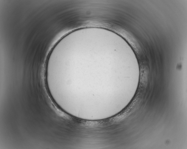 X0000116271094201001111009