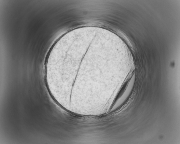 X0000116271095201001111009