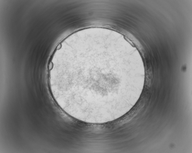 X0000116271096201001111009