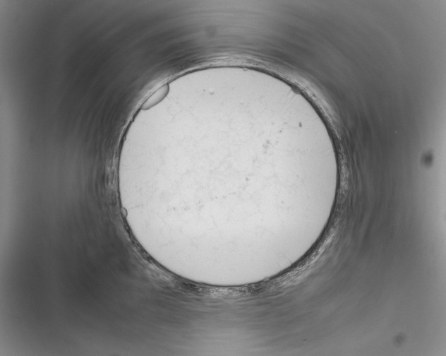 X0000116271097201001111009