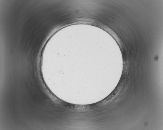X0000116271099201001111009
