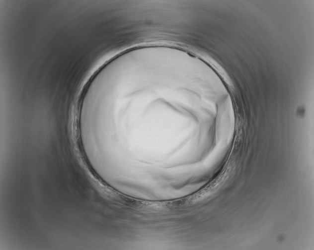 X0000116271101201001111009