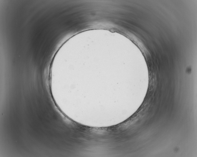 X0000116271103201001111009
