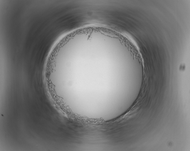 X0000116271104201001111009