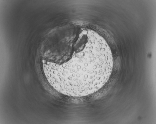X0000116271105201001111008