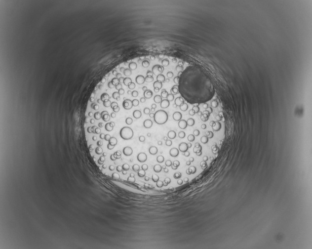X0000116271106201001111008